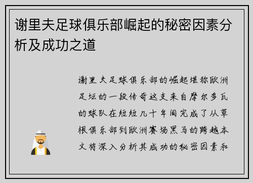 谢里夫足球俱乐部崛起的秘密因素分析及成功之道