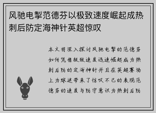 风驰电掣范德芬以极致速度崛起成热刺后防定海神针英超惊叹
